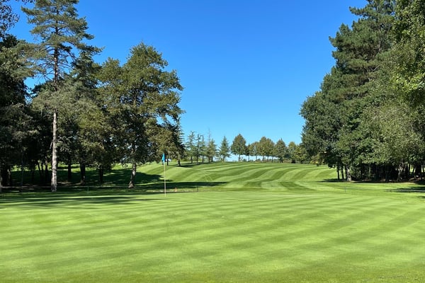 Golf de Zuia (España) | Tarifas, reseñas e información - Golfy